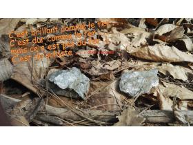 photo coins arrondis