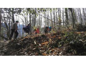 photo coins arrondis