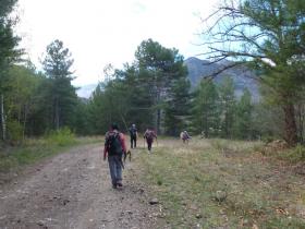 photo coins arrondis