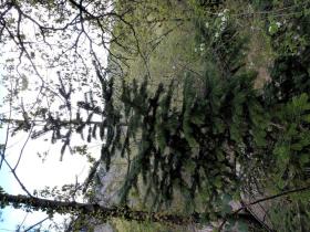 photo coins arrondis