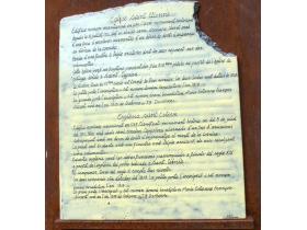 photo coins arrondis