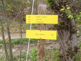 photo coins arrondis