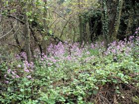 photo coins arrondis