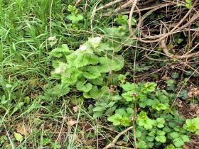 photo coins arrondis