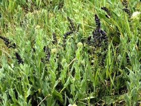 photo coins arrondis