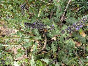 photo coins arrondis