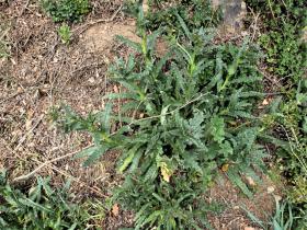 photo coins arrondis