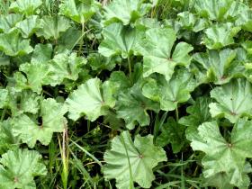 photo coins arrondis