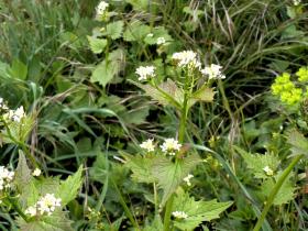 photo coins arrondis