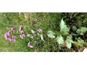 photo coins arrondis