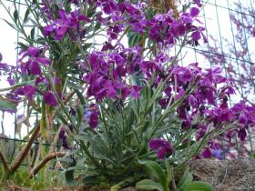 photo coins arrondis