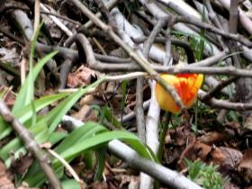 photo coins arrondis