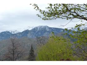 photo coins arrondis