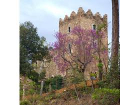 photo coins arrondis