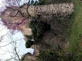 photo coins arrondis