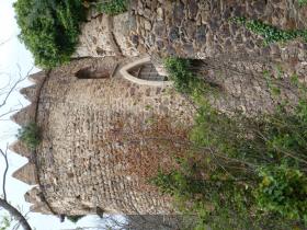 photo coins arrondis