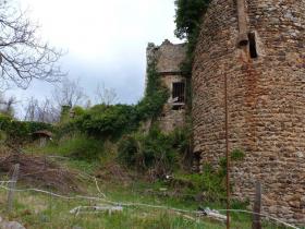 photo coins arrondis