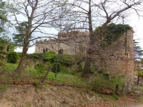 photo coins arrondis