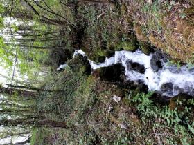 photo coins arrondis