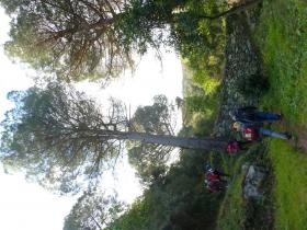 photo coins arrondis