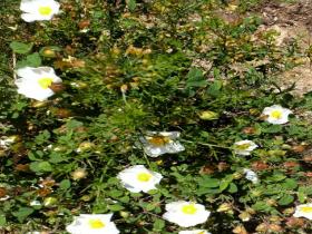 photo coins arrondis