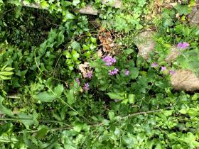 photo coins arrondis