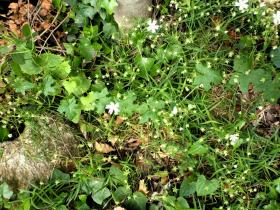 photo coins arrondis