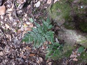 photo coins arrondis