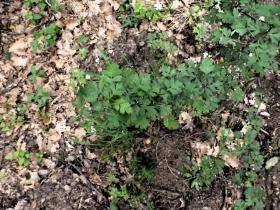 photo coins arrondis