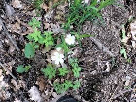 photo coins arrondis