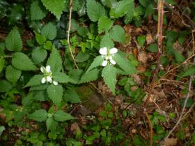 photo coins arrondis