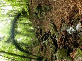 photo coins arrondis