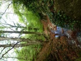 photo coins arrondis