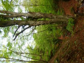 photo coins arrondis