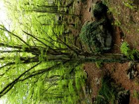 photo coins arrondis