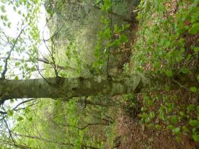 photo coins arrondis