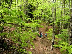 photo coins arrondis