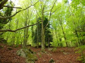 photo coins arrondis