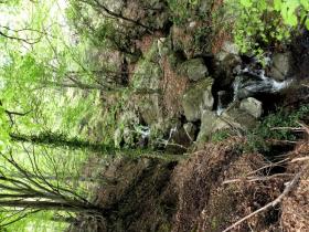 photo coins arrondis