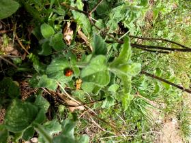 photo coins arrondis