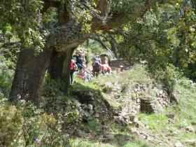 photo coins arrondis