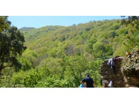 photo coins arrondis