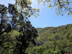 photo coins arrondis