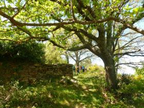 photo coins arrondis