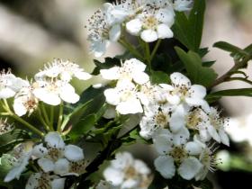 photo coins arrondis