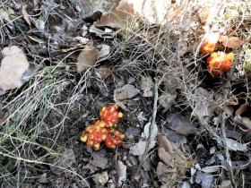 photo coins arrondis