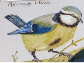 photo coins arrondis