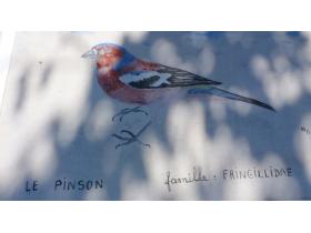 photo coins arrondis