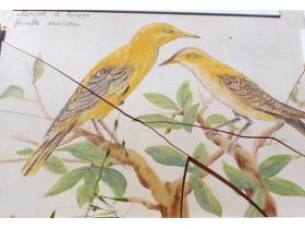 photo coins arrondis