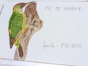 photo coins arrondis